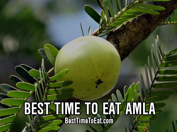 best time to eat amla