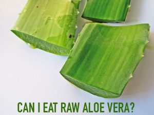 can i eat raw aloe vera
