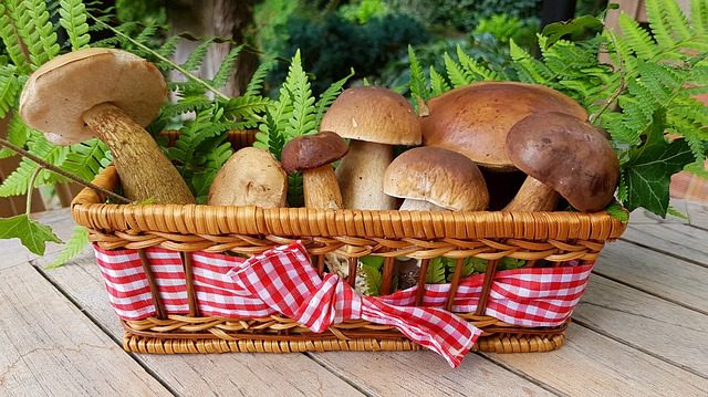 Can I eat mushrooms at night?