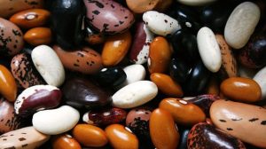 Can A Diabetic Eat Beans